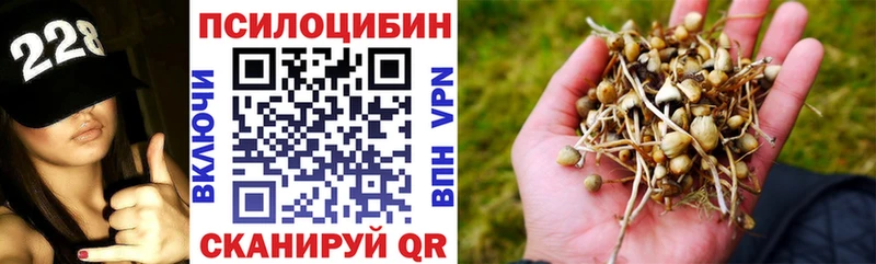 Псилоцибиновые грибы ЛСД  цены наркотик  Приморск 