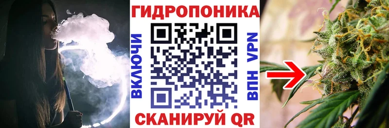 Каннабис OG Kush  где купить наркотик  Приморск 